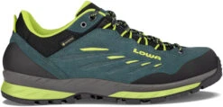 Lowa Delago GTX Lo